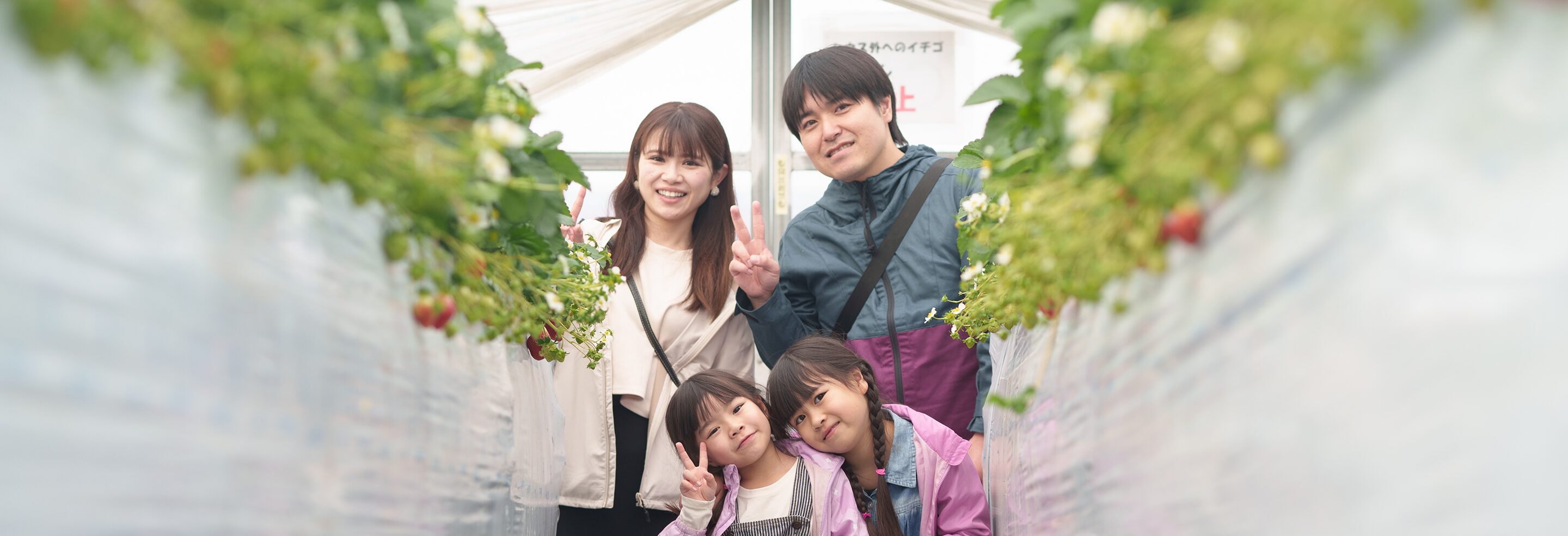 宿泊レポート