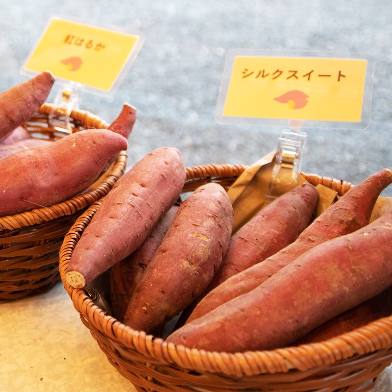 秋グルメ"さつまいも"プレゼント