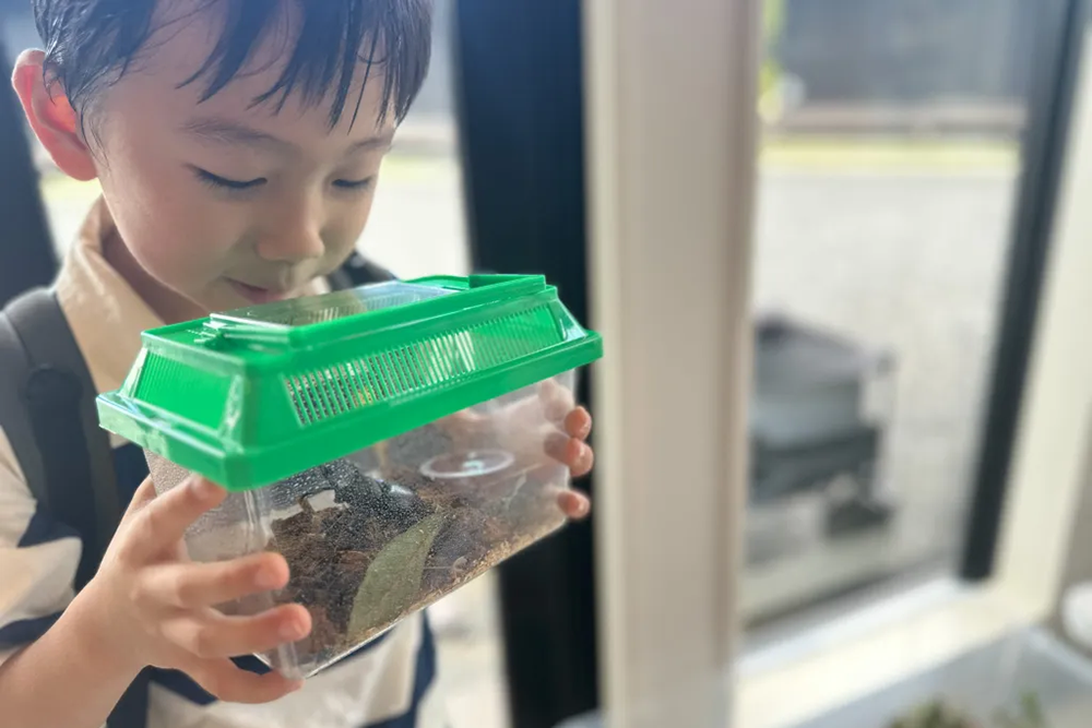 夏の夜を自然と触れ合う！昆虫灯火採集体験